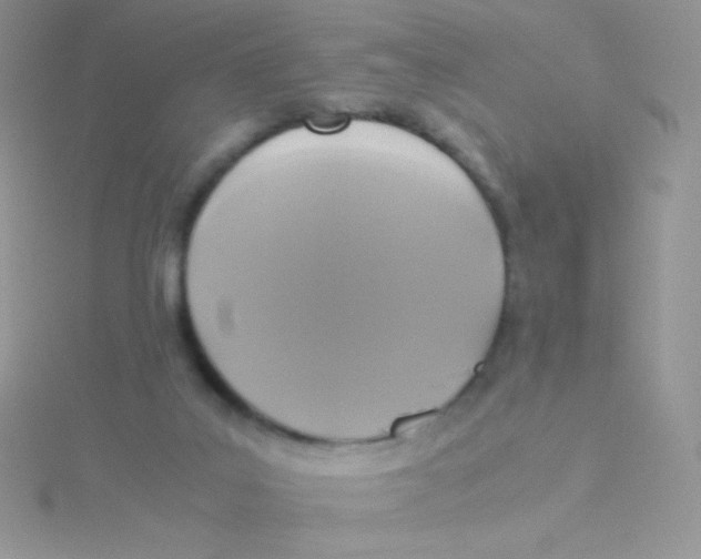 X0000115310019200911231339