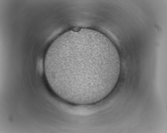 X0000115310020200911231339