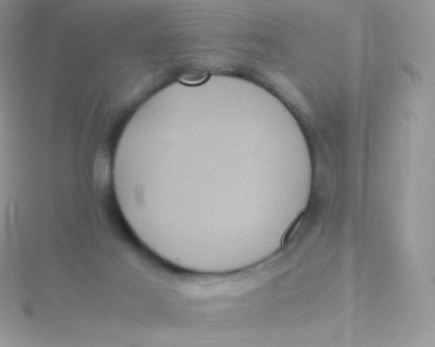 X0000115310021200911231339