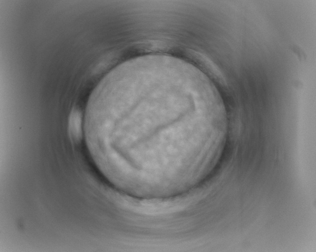 X0000115310022200911231339