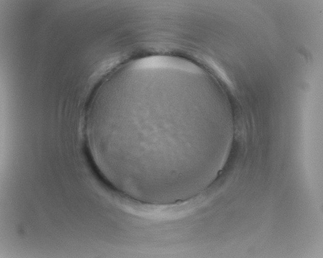 X0000115310023200911231339