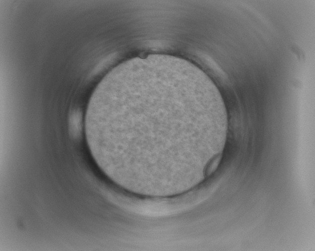 X0000115310024200911231339