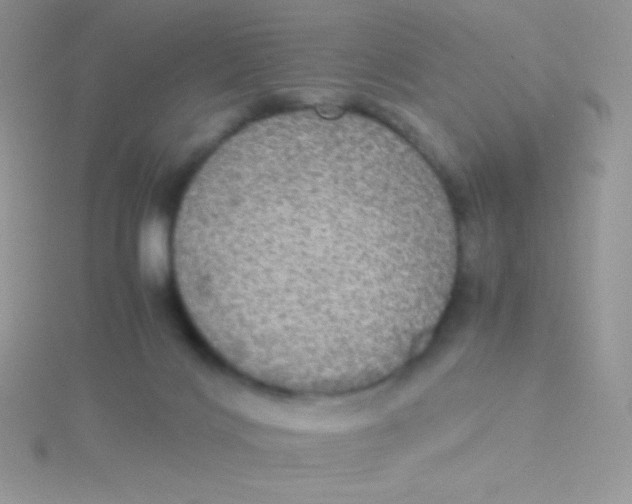 X0000115310028200911231339