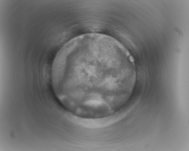 X0000115310030200911231339