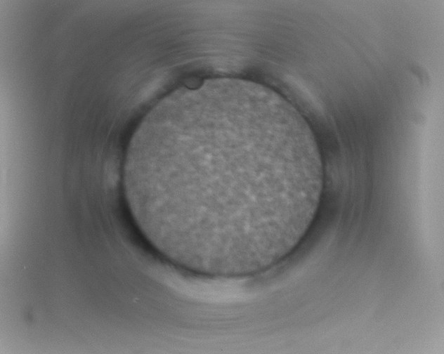 X0000115310032200911231339