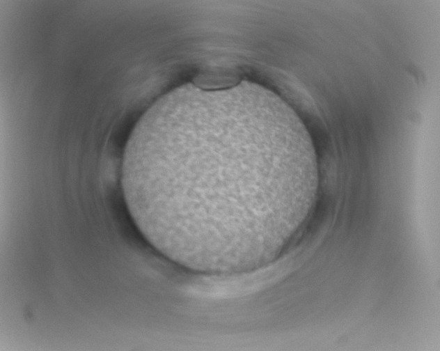 X0000115310033200911231339