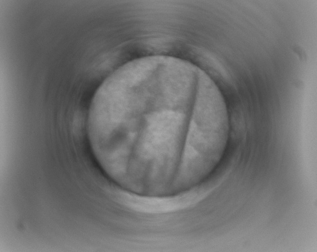 X0000115310034200911231339