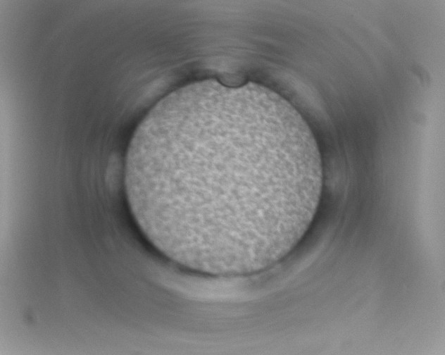 X0000115310036200911231339