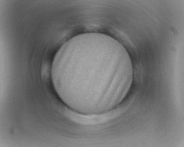 X0000115310038200911231339