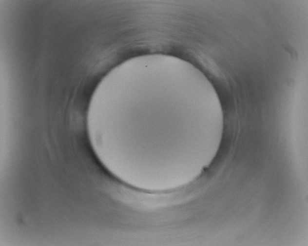 X0000115310039200911231339