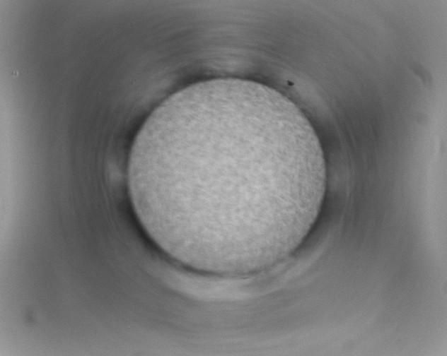 X0000115310040200911231339