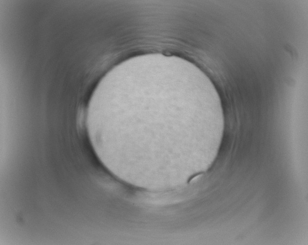 X0000115310041200911231339