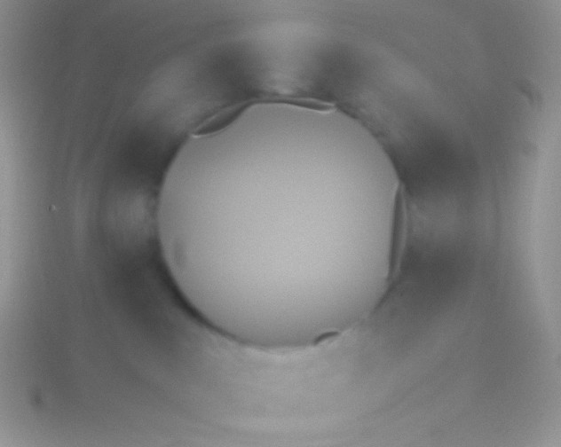 X0000115310043200911231339