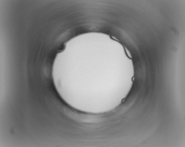 X0000115310044200911231339