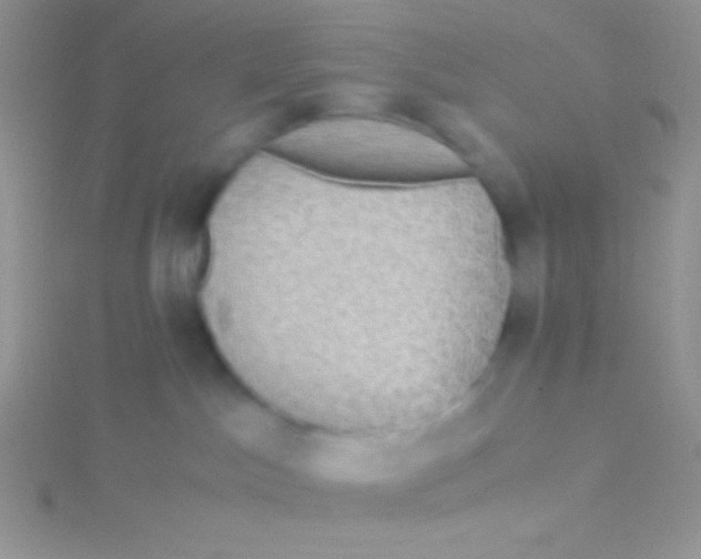 X0000115310045200911231339