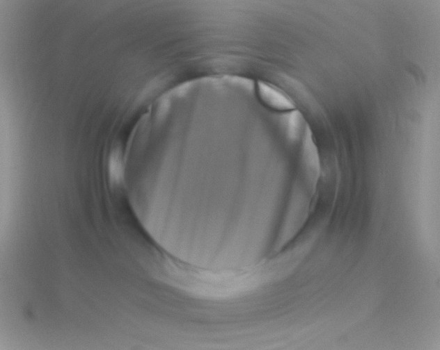 X0000115310046200911231339