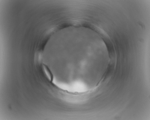 X0000115310047200911231339