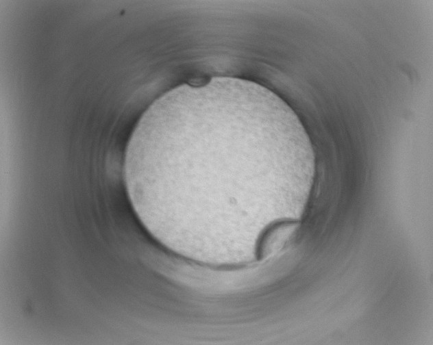 X0000115310048200911231339