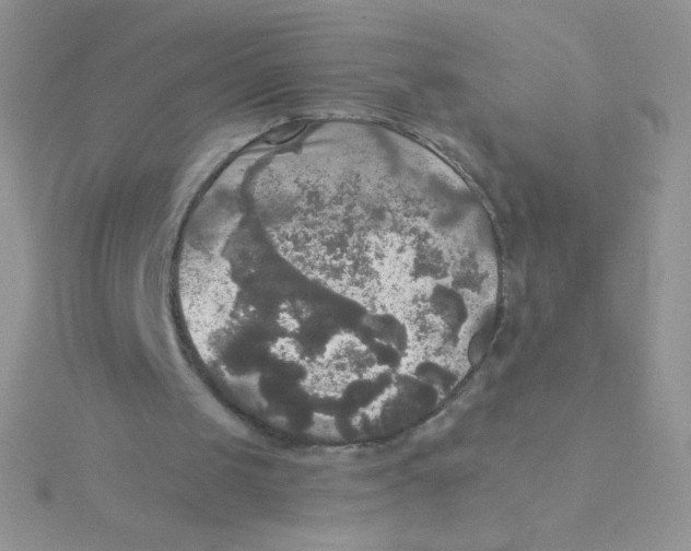 X0000115310049200911231338