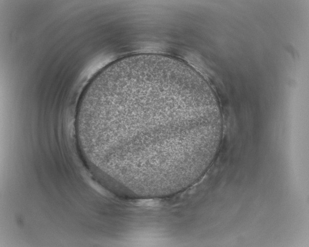 X0000115310050200911231338