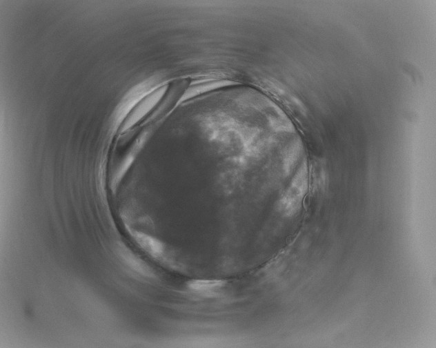 X0000115310051200911231338