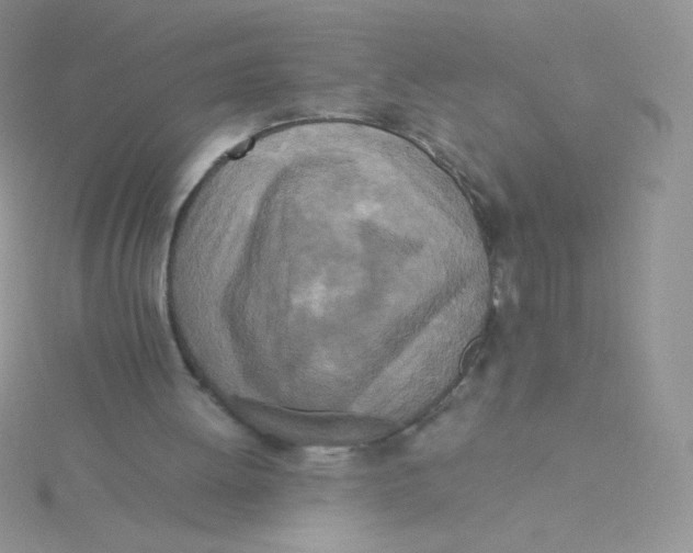 X0000115310052200911231338