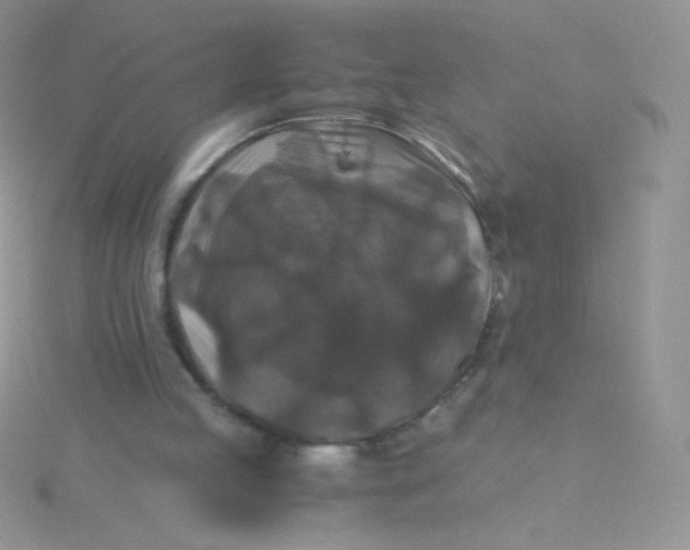 X0000115310053200911231338