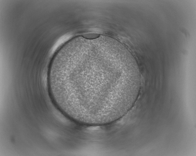 X0000115310054200911231338