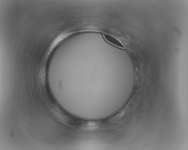 X0000115310056200911231338