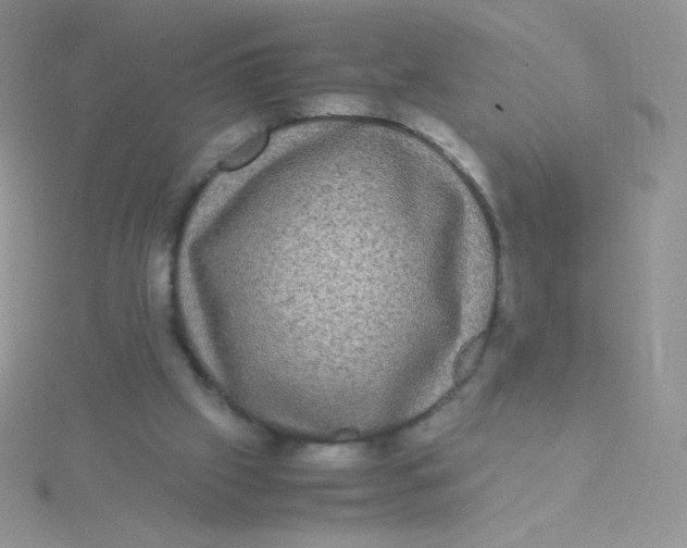 X0000115310057200911231338