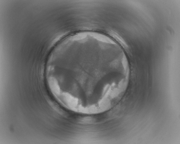 X0000115310058200911231338