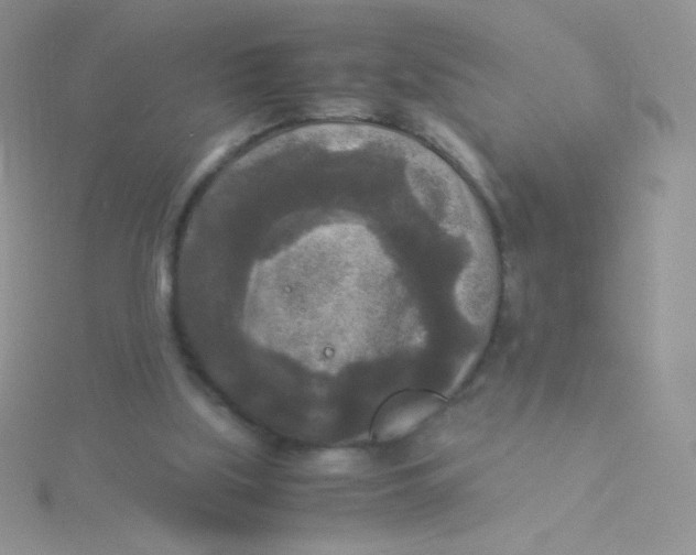 X0000115310059200911231338