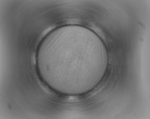 X0000115310060200911231338