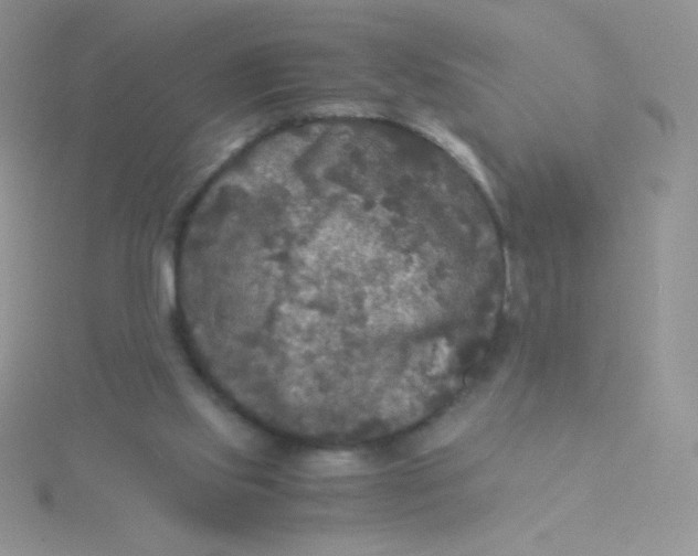 X0000115310061200911231338