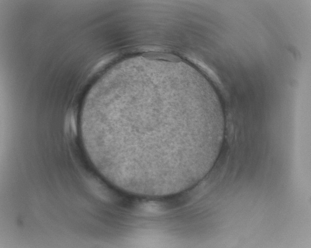 X0000115310062200911231338