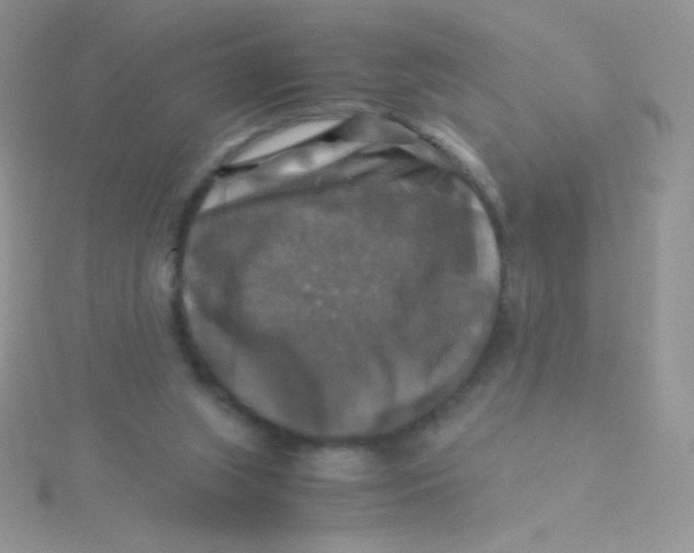 X0000115310063200911231338