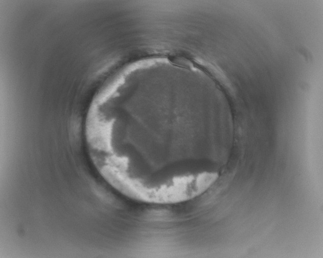 X0000115310066200911231338