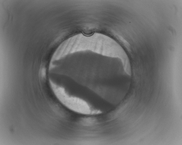 X0000115310067200911231338