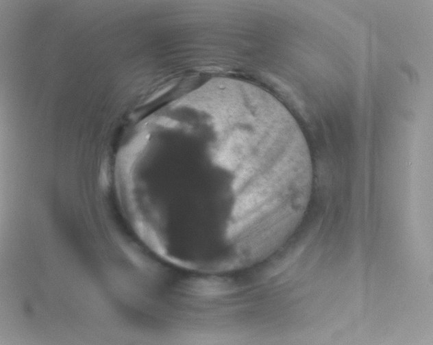 X0000115310069200911231338