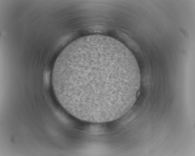 X0000115310070200911231338