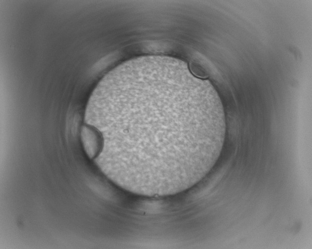 X0000115310071200911231338