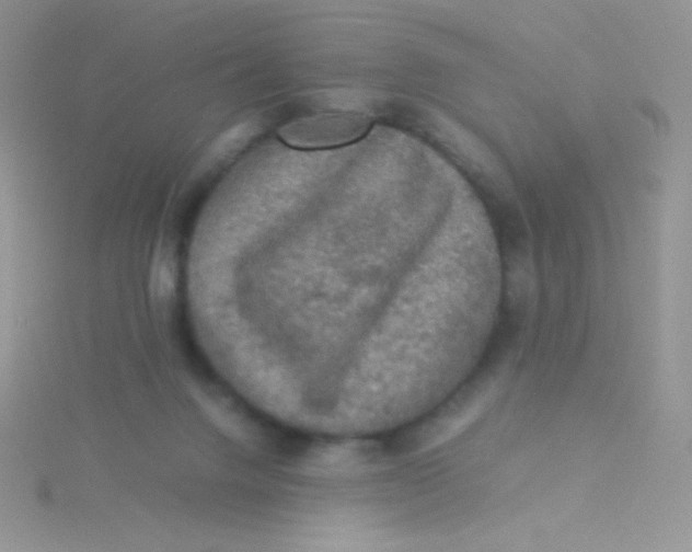 X0000115310072200911231338