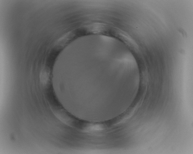 X0000115310073200911231338