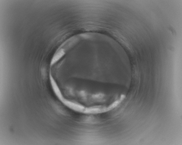 X0000115310074200911231338