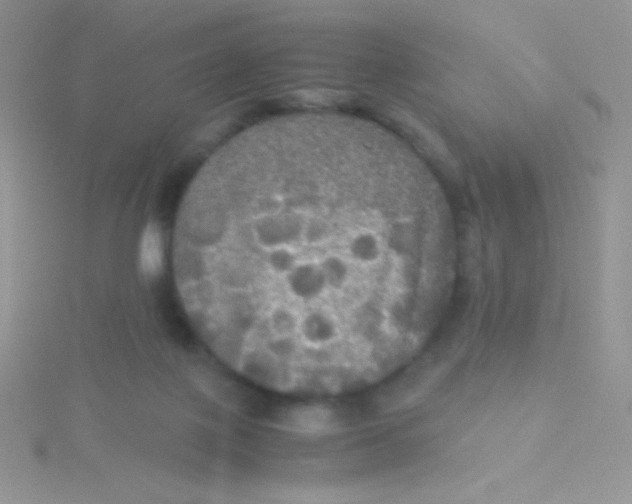 X0000115310075200911231338