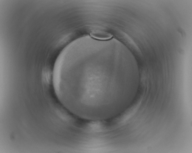 X0000115310076200911231338