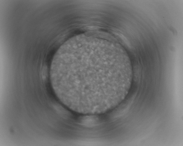 X0000115310077200911231338