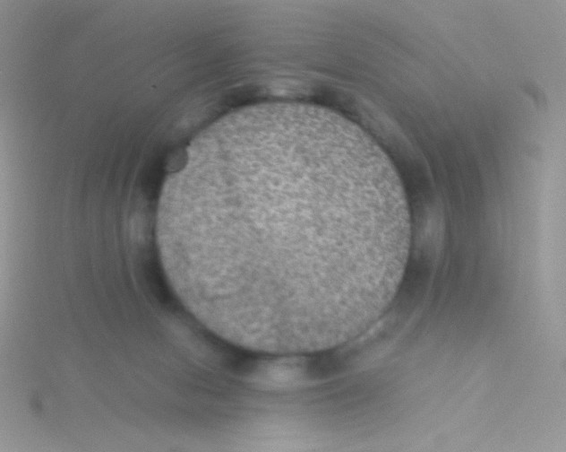 X0000115310078200911231338