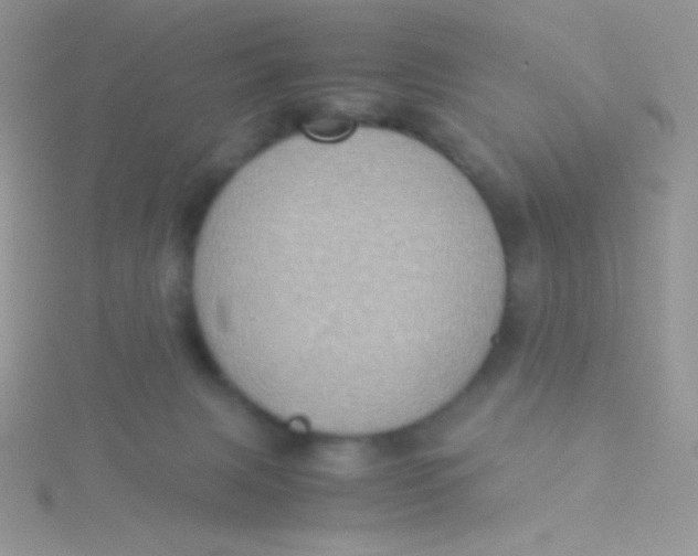 X0000115310079200911231338