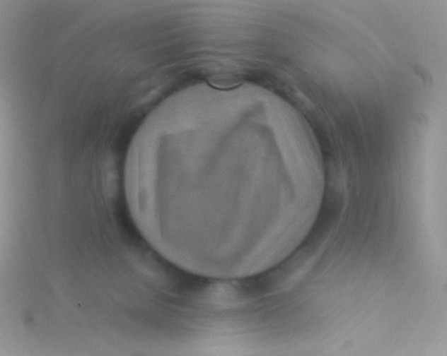 X0000115310080200911231338